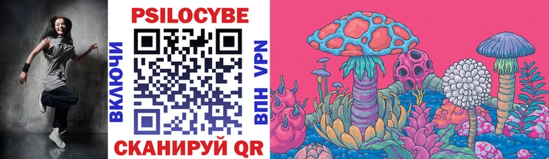 Псилоцибиновые грибы Psilocybe Орлов